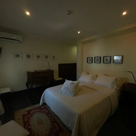 Guest house Casa Museu *